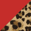 Leopard + Red